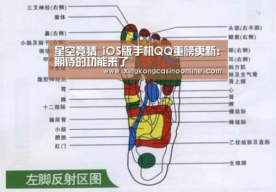 星空竞猜_iOS版手机QQ重磅更新：期待的功能来了